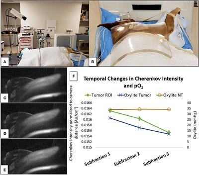 Emerging Translational Opportunities in Comparative Oncology With Companion Canine Cancers: Radiation Oncology